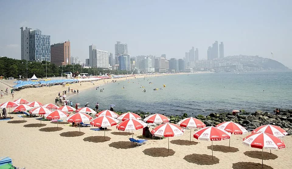 海雲台&広安里ビーチ:太陽、海鮮、絶景オーシャンビュー