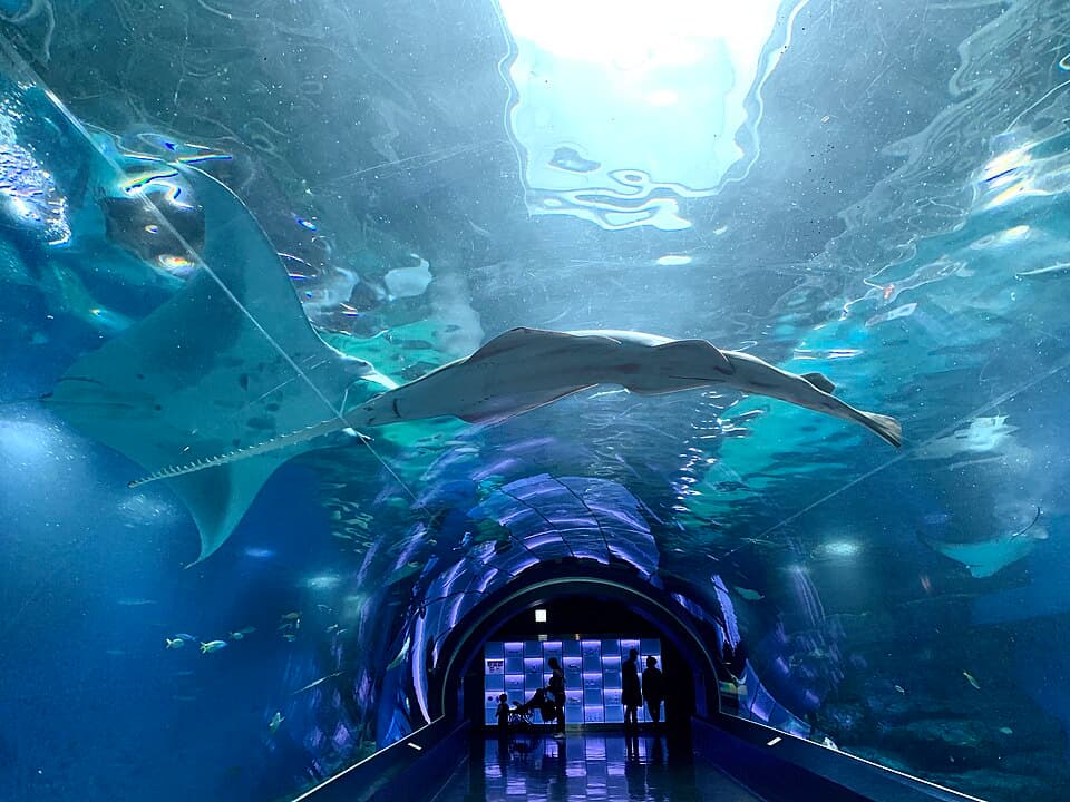 Maxell Aqua Park Shinagawa