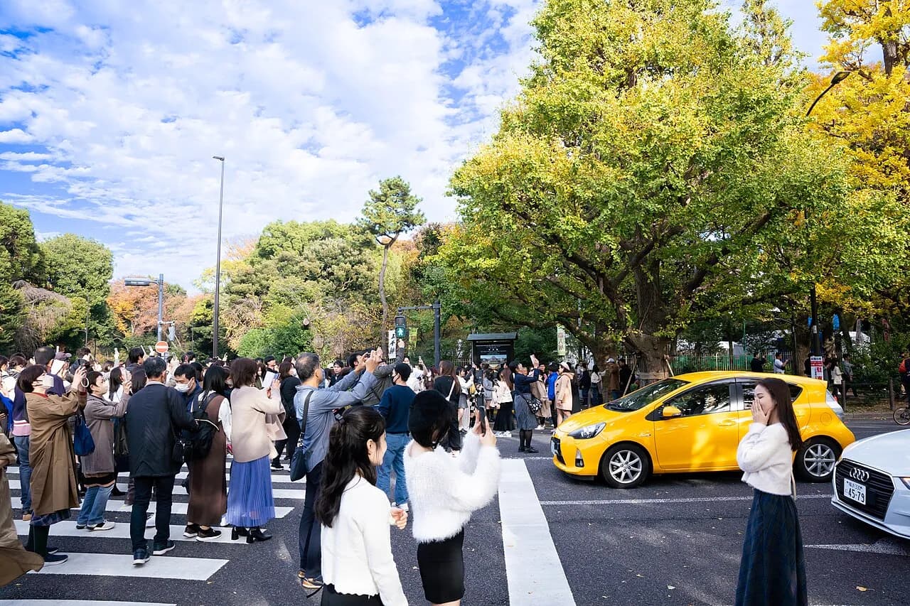 Meiji Jingu Gaien