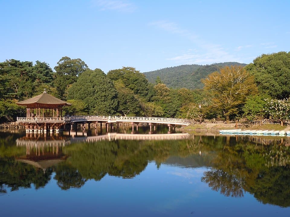 奈良 日帰りガイド:東大寺・春日大社・奈良公園