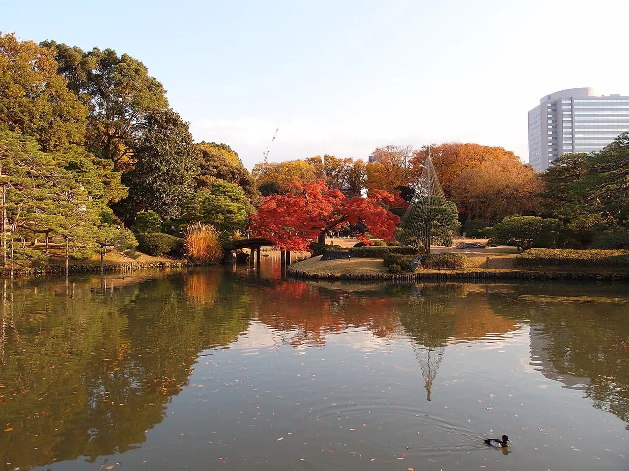 Rikugien Garden
