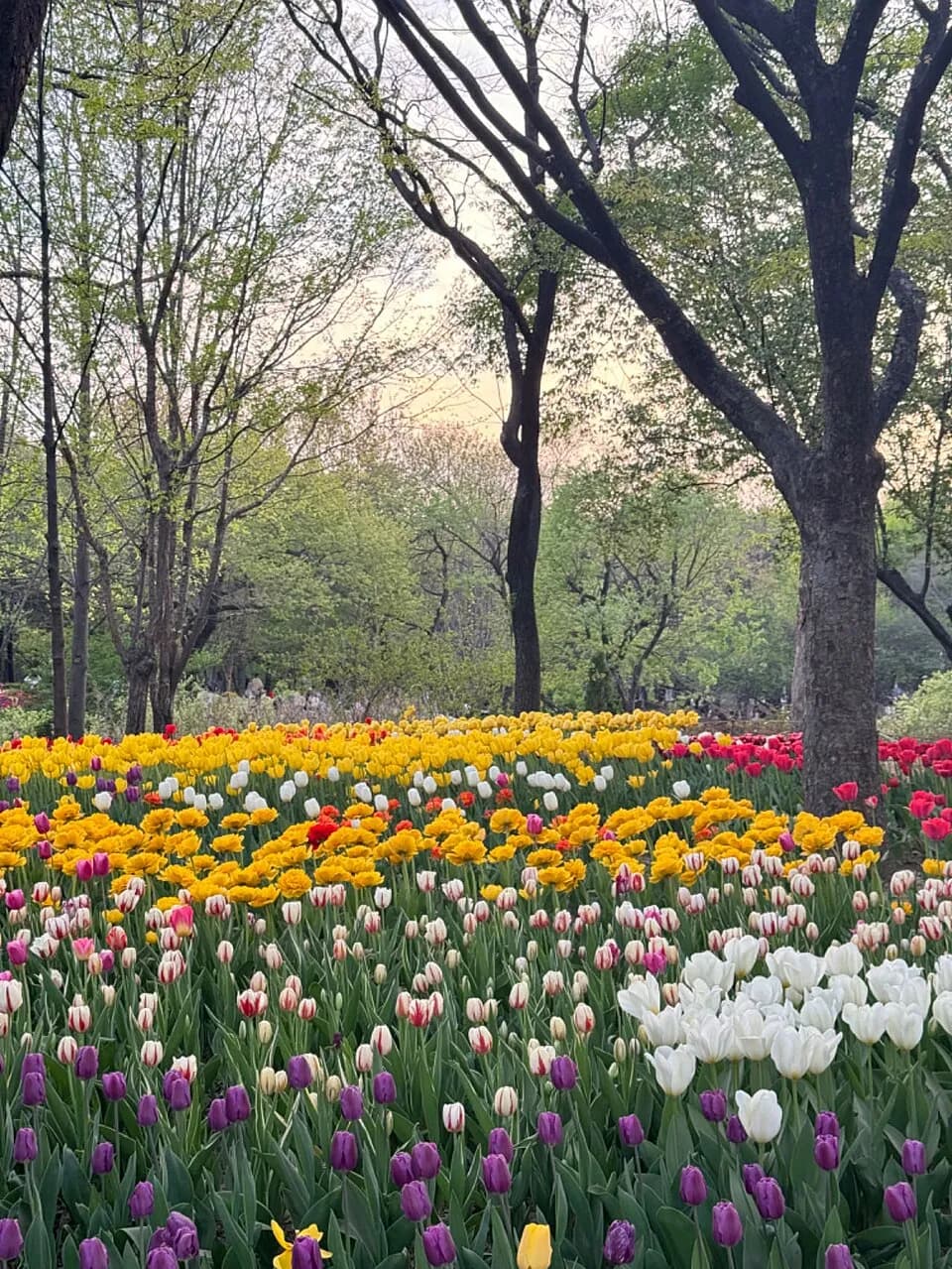 서울숲