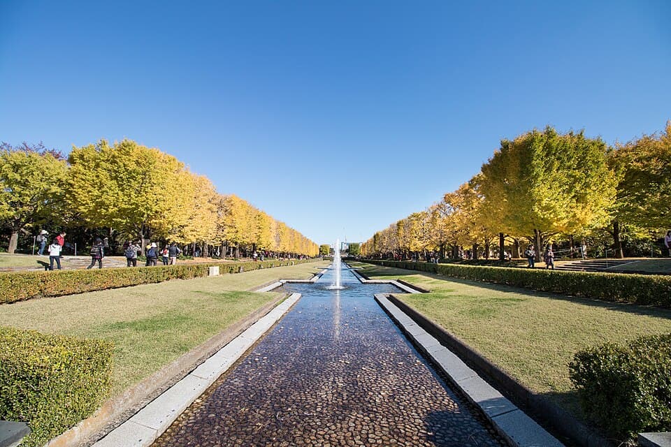 Showa Memorial Park
