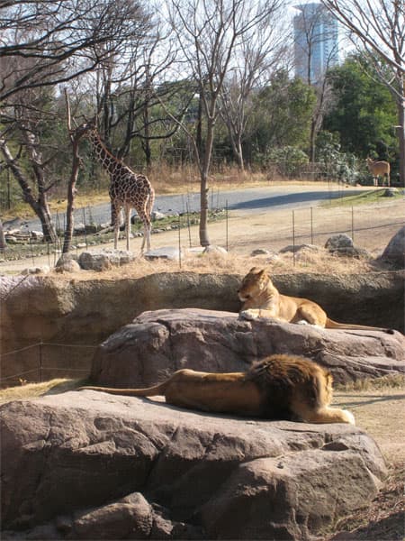 天王寺動物園